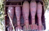 На Чернігівщині знайшли три ящики з німецькими мінометними снарядами
