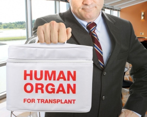 Трансплантація без згоди. Навіть церква схвалює пересадку органів від померлих