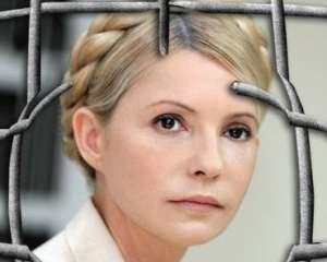 В оппозиции рассказали о возможностях референдума об освобождении Тимошенко