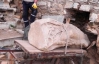 У Туреччині знайшли замуровану жіночу статую віком 2,5 тис. років