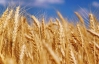 Украина продала за границу 11,5 миллиона тонн зерна