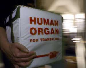 У Верховній Раді немає законопроекту про обов&#039;язкове посмертне донорство
