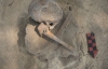 Найденные скелеты племени майя рассказали о голоде и упадке