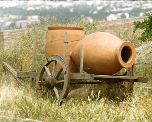 Біля Батумі виявили посудини для зберігання вина віком більше 2 тисяч років