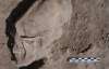 Мексиканські археологи виявили череп "інопланетянина"