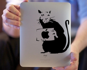 Американські вчені навчили щурів користуватися iPad