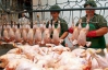 В наступному році Україна збільшить виробництво курятини на 15%