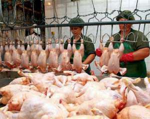  В следующем году Украина увеличит производство курятины на 15%