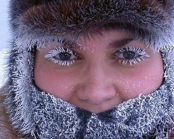 Україна лідирує за кількістю жертв заморозків
