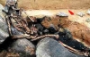 Археологи знайшли у німецькій печері еротичні малюнки кам'яного віку