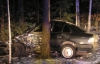 На Рівненщині "BMW" на швидкості злетів у кювет і врізався в дерево, 2 людини загинули
