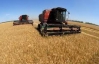 Урожай зерна в 2013 році може сягнути 50 мільйонів тонн - Мінагропрод