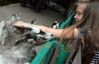 Тварини у Київському зоопарку голодують з 1 січня