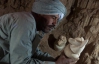 В египетских гробницах нашли сосуды для хранения органов умерших