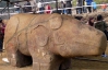 В Китае обнаружили гигантскую скульптуру неизвестного животного