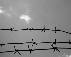 У Єнакіївській колонії ув'язнений "зробив харакірі"