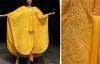 На Мадагаскаре создали уникальное золотую платье из паутины