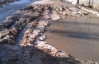 На Закарпатье затопило полсотни дворов из-за таяния снега и захламленные водостоки