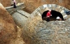 В Китае найден комплекс гробниц возрастом 1,3 тыс. лет