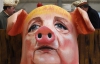 На карнавалі Розенмонтаг з Ангели Меркель зробили свиноматку