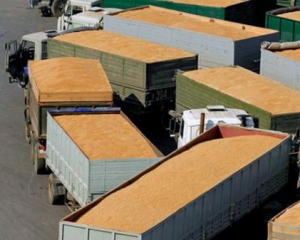 Экспорт украинского зерна превысит 21 млн тонн - министр
