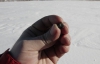 Стал известен химический состав челябинского метеорита