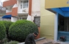 В Крыму рейдеры пытались захватить "Дом творчества писателей имени Чехова"