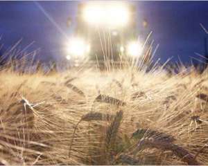 Україна експортувала 17,3 мільйона тонн зерна