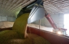 Україна хоче продавати зерно в Сенегал