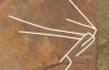 Археологи нашли камень-карту и следы древнего охотника, который ее создал