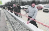 Із 80 свиней зроблять 150-метровий шашлик