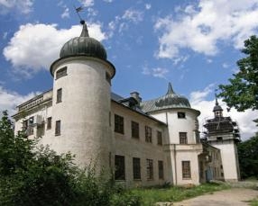 Активісти громадської організації хочуть самотужки рятувати старовинний палац графів Шувалових