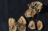 В египетском храме нашли забытую больше 2 тыс. лет назад обувь