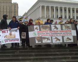 У Києві відбулася акція на захист бездомних тварин