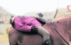 Ребенок ложится на спину коня и дотягивается до хвоста