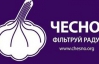 Лише 92 нардепи оприлюднили списки помічників - "Чесно"