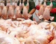 Україна тимчасово призупинила ввезення польської курятини 