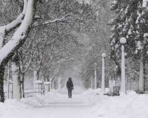 На Киевщине во время снегопадов пропал парень