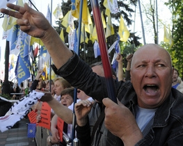 За митингами в Украине отныне будет наблюдать &quot;ОЗОН&quot;