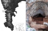 У грецькій печері знайшли останки неандертальців