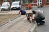 К приезду Януковича в Виннице даже выщипали сухую траву