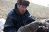 Мужчине, который собрался верхом через всю Украину на неподкованных лошади, ищут обувь