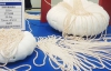У Японії на виставці покажуть 20-кілограмове намисто з перлин