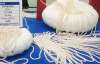 У Японії на виставці покажуть 20-кілограмове намисто з перлин