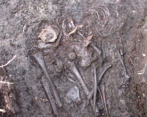 Убита в забутому селі дівчинка пролежала під землею 600 років