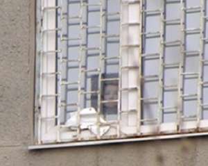 &quot;Это дебилизм в кубе&quot; - Власенко говорит, что в палате Тимошенко затонировали окна