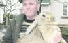 Десятикилограммовые кроли вырастают у Александра Пендюра
