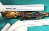 Крихітна мумія "інопланетянина" з Чилі виявилася людською