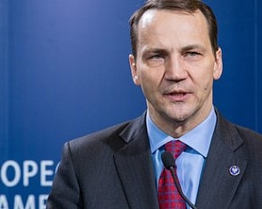 Ассоциация с ЕС может стать личным успехом Януковича - министр Польши