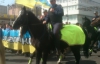 Під час маршу на підтримку Павліченків міліціонер не впорався з конем